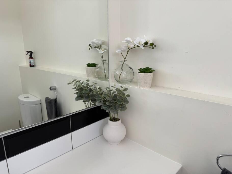 4 Large Bedroom Apartment In The City Hastings Εξωτερικό φωτογραφία